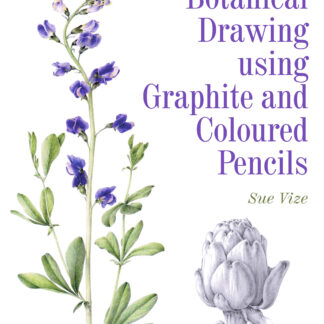 Botanical Drawing using Graphite and Coloured Pencils  (Paperback)