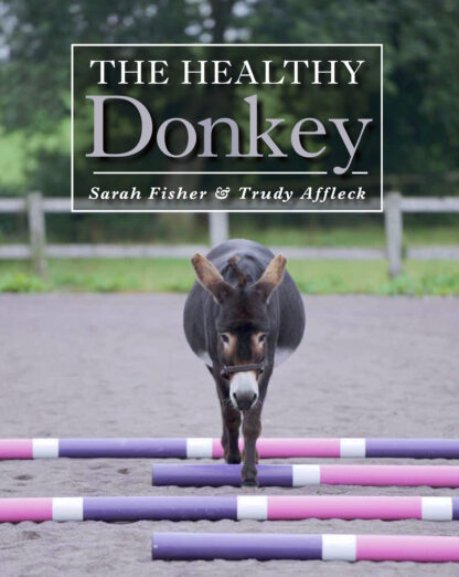 The Healthy Donkey (Hardback)