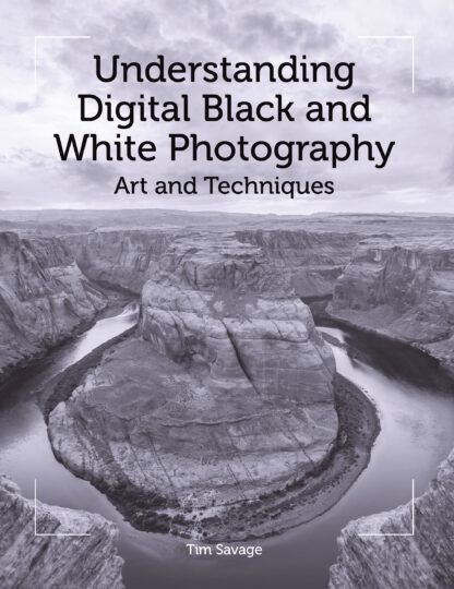 Understanding Digital Black and White Photography  (Paperback)