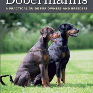 Dobermanns  (Paperback)
