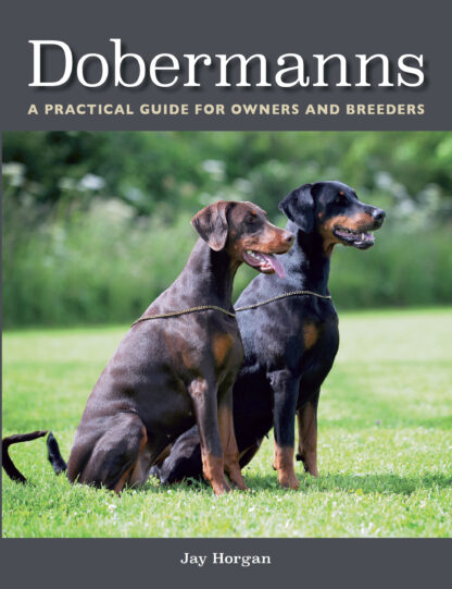 Dobermanns  (Paperback)