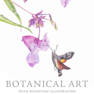Botanical Art with Scientific Illustration  (Paperback)