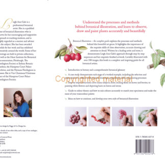 Botanical Illustration  (Paperback)