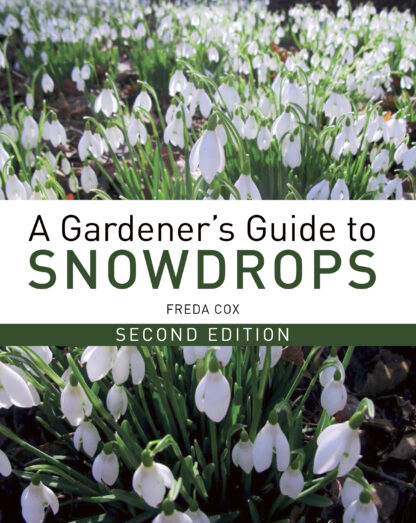 A Gardener's Guide to Snowdrops (Hardback)