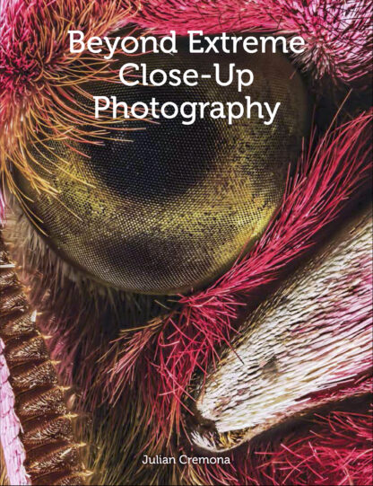 Beyond Extreme Close-Up Photography  (Paperback)