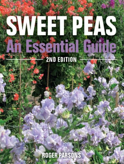 Sweet Peas  (Paperback)