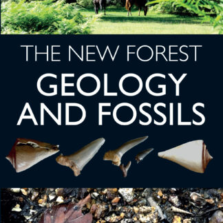 The New Forest (Ebook)