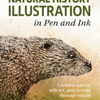 Natural History Illustration in Pen and Ink  (Paperback)