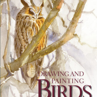 Drawing and Painting Birds  (Paperback)