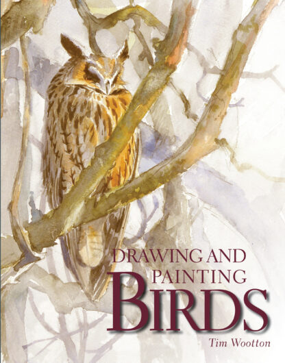 Drawing and Painting Birds  (Paperback)
