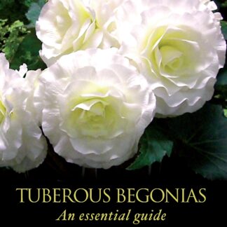 Tuberous Begonias  (Hardback)