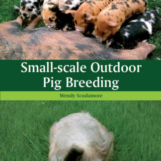 Small-scale Outdoor Pig Breeding  (Paperback)