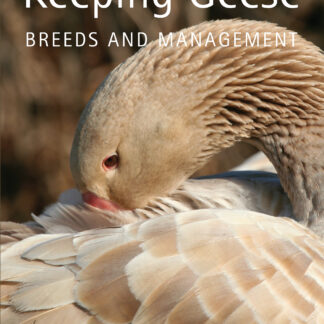 Keeping Geese (Paperback)