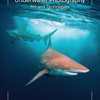 Underwater Photography  (Paperback)