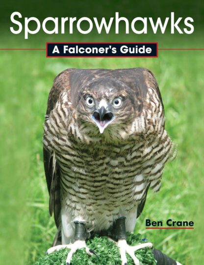 Sparrowhawks  (Hardback)
