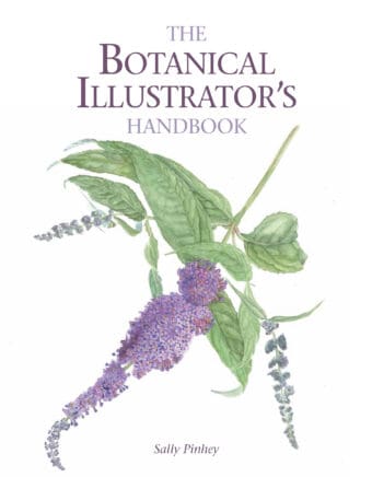 The Botanical Illustrator’s Handbook
