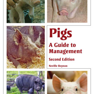 Pigs (Paperback)