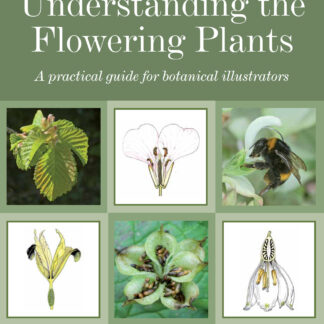 Understanding the Flowering Plants  (Paperback)