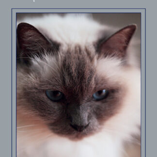 The Holistic Cat (Paperback)