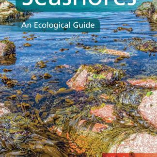 Seashores  (Paperback)
