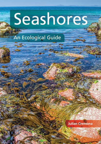 Seashores  (Paperback)