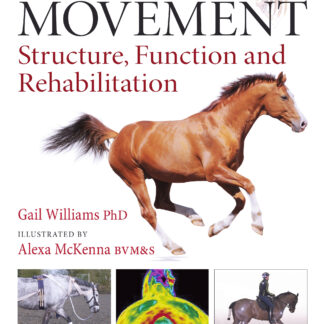 Horse Movement  (Hardback)