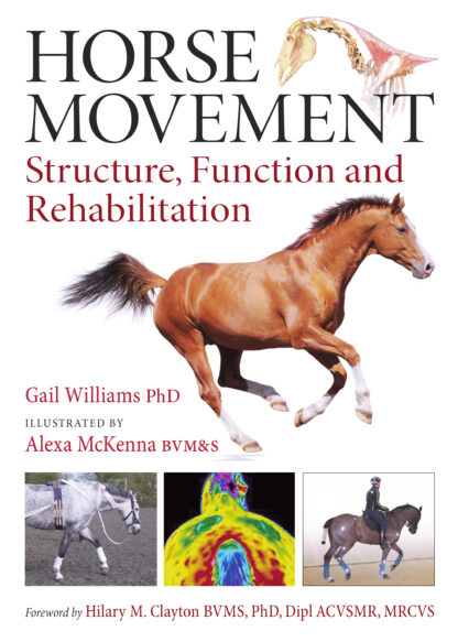 Horse Movement  (Hardback)