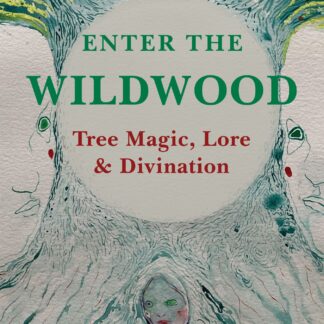 Enter the Wildwood  (Ebook)