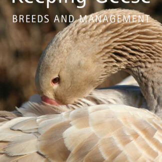 Keeping Geese  (Ebook)