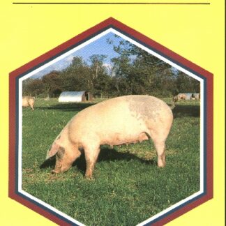 Pigs (Ebook)