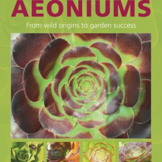 Understanding and Growing Aeoniums  (Paperback)