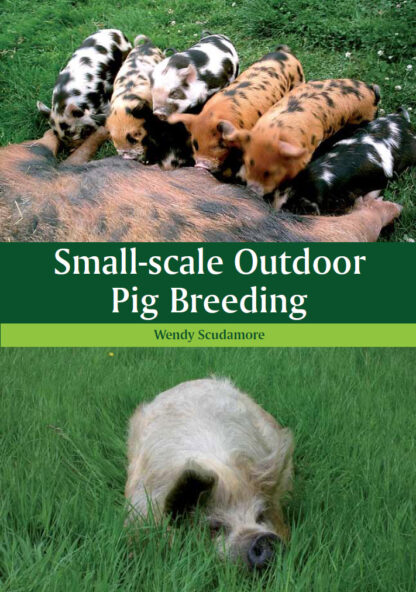 Small-scale Outdoor Pig Breeding  (Ebook)