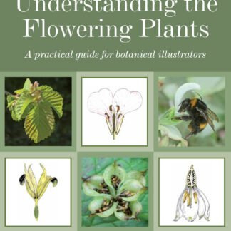 Understanding the Flowering Plants (Ebook)