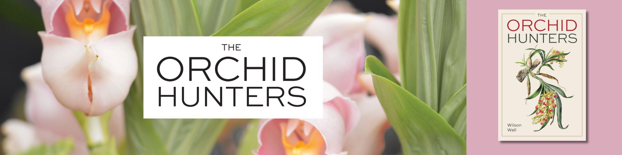 The Orchid Hunters by Wilson Wall