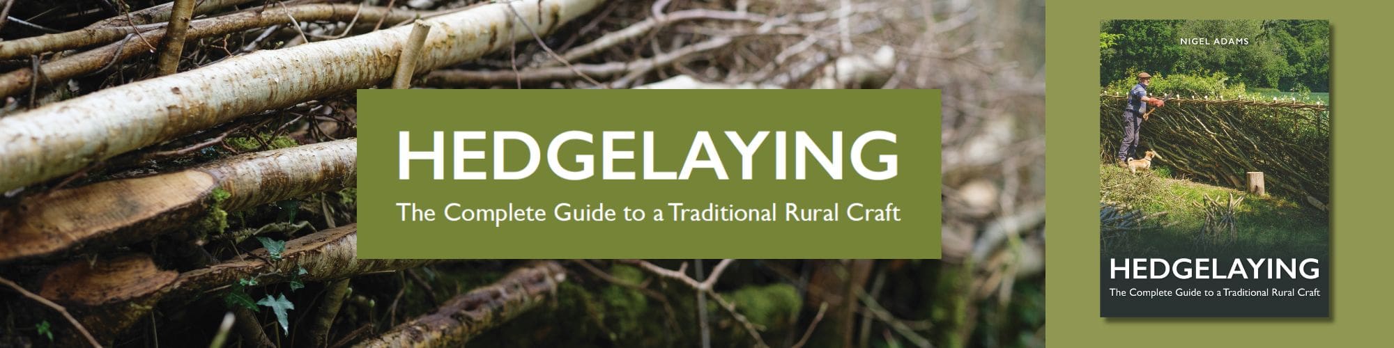 Hedgelaying by Nigel Adams