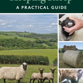 Keeping Sheep (Ebook)