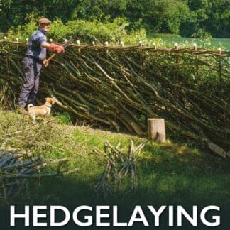Hedgelaying (Hardback)