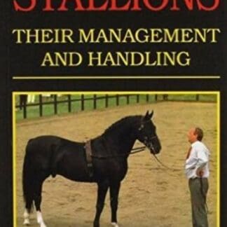 Stallions (Paperback)