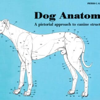 Dog Anatomy (Paperback)