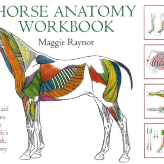 Horse Anatomy Workbook ()