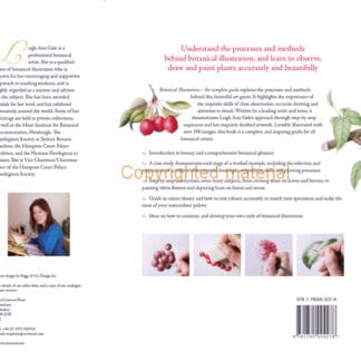 Botanical Illustration (Paperback)