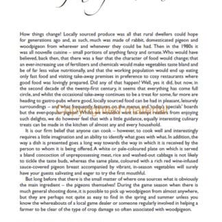 The Pigeon Cook (Paperback)