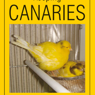 Keeping Canaries (Paperback)