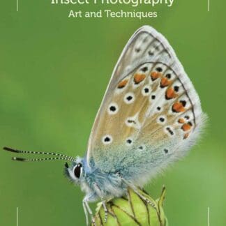 Insect Photography (Ebook)