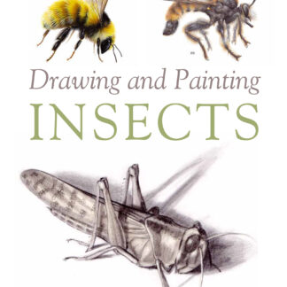 Drawing and Painting Insects (Ebook)