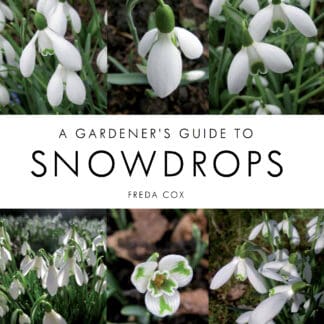 A Gardener's Guide to Snowdrops (Ebook)