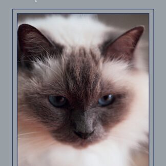 The Holistic Cat (Ebook)