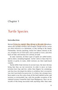 Tortoiseshell Tortoiseshell