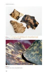 Tortoiseshell Tortoiseshell