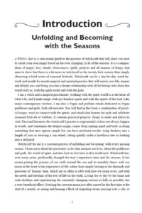 A Witch’s Year A Witch’s Year
